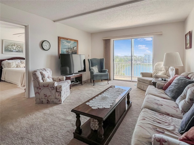 carpeted living area featuring a textured ceiling