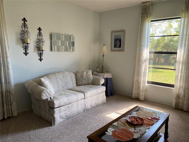 living room featuring carpet