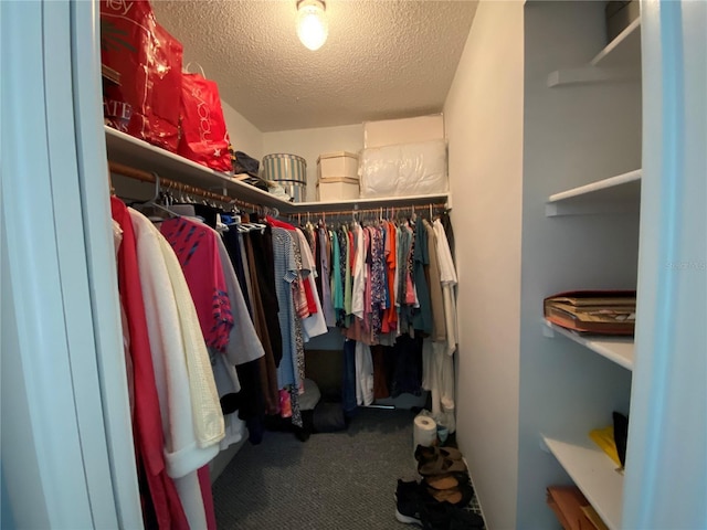 spacious closet featuring carpet flooring