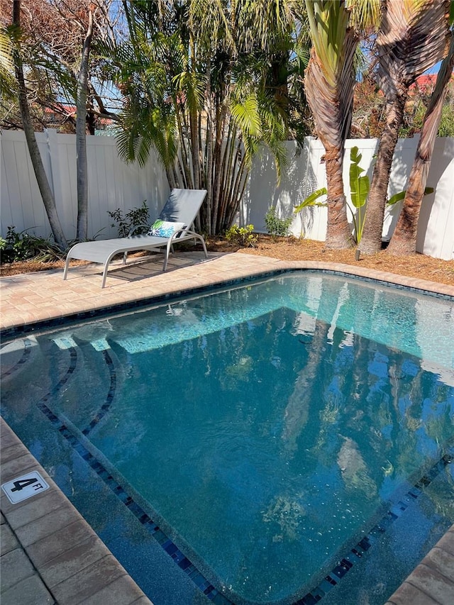 view of pool featuring a fenced in pool, a patio, and a fenced backyard