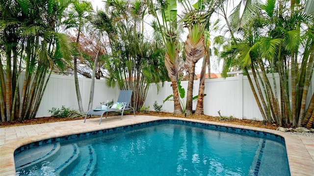 view of swimming pool with a patio, a fenced in pool, and a fenced backyard