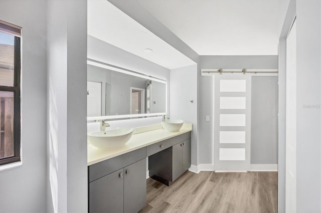 bathroom featuring double vanity, a sink, baseboards, and wood finished floors