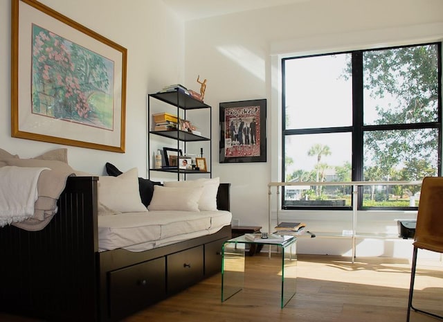 bedroom with multiple windows and wood finished floors