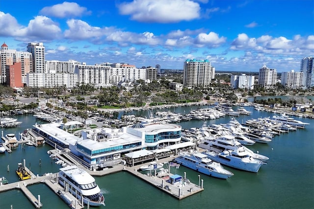 drone / aerial view with a view of city and a water view