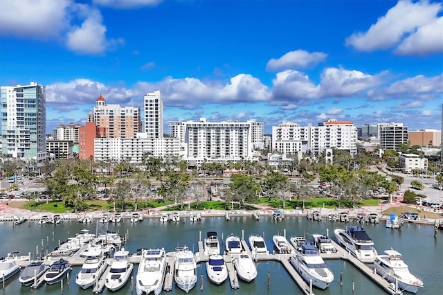 aerial view with a water view and a view of city