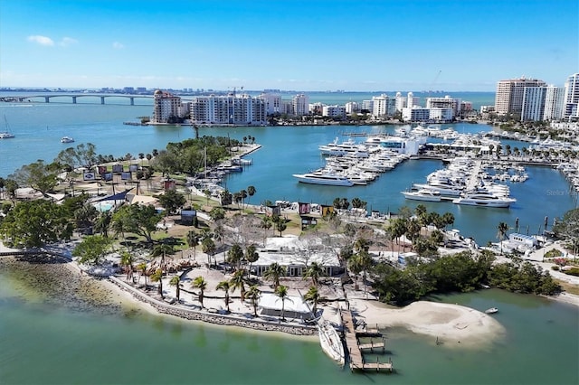 drone / aerial view featuring a water view and a city view