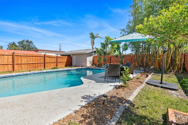 view of pool featuring a fenced in pool, a fenced backyard, and a patio