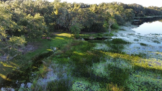 view of local wilderness with a water view and a view of trees