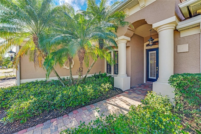 entrance to property with stucco siding