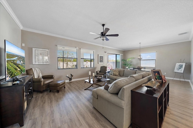 living room featuring light wood-type flooring, a healthy amount of sunlight, and a textured ceiling