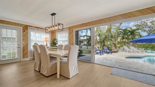 dining room featuring a chandelier, light wood-type flooring, wood walls, and plenty of natural light