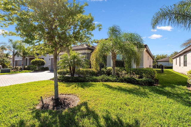 view of property hidden behind natural elements featuring decorative driveway, a front lawn, and stucco siding