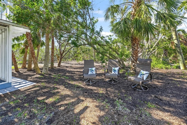 691 Gulf Bay Rd, Longboat Key, FL 34228 - view of yard