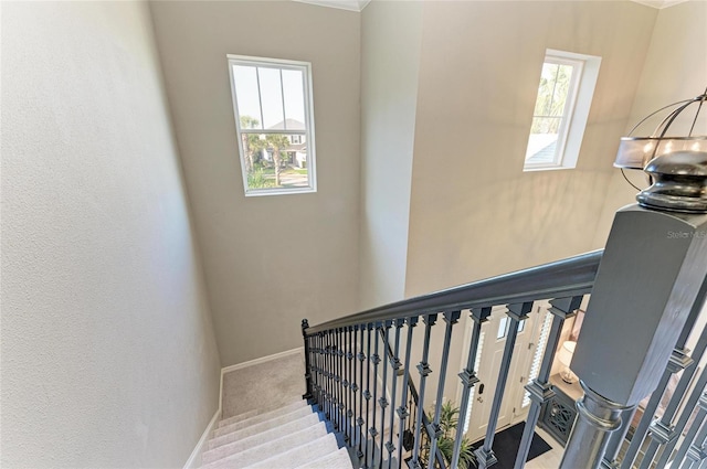 5709 Sunflower Cir, Sarasota, FL 34238 - stairway featuring a healthy amount of sunlight, baseboards, and carpet flooring
