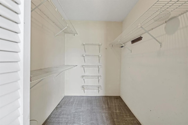 spacious closet featuring carpet