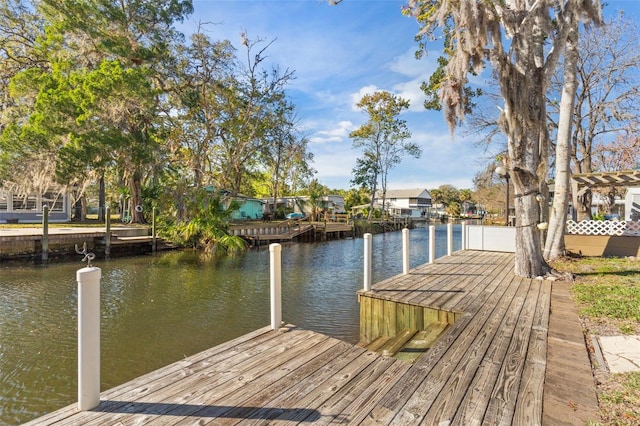 dock area featuring a water view