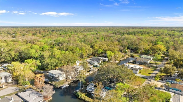 bird's eye view with a water view and a wooded view