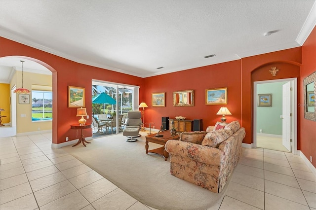 living area featuring crown molding, plenty of natural light, and a textured ceiling