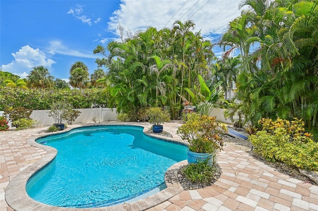 view of pool featuring a fenced in pool, a fenced backyard, and a patio