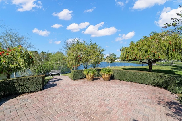 view of community featuring a water view and a lawn