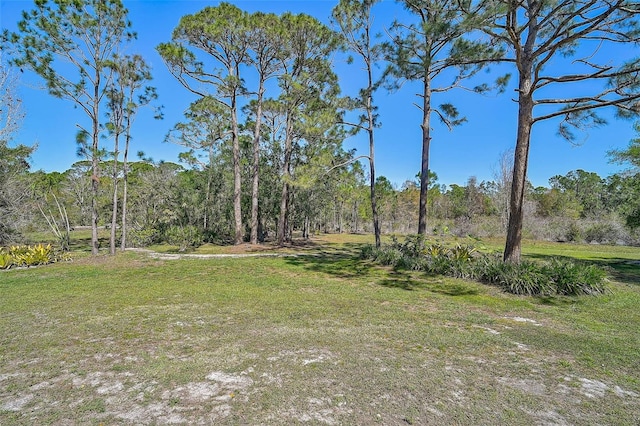 view of yard with a forest view