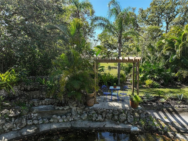 view of community featuring a patio