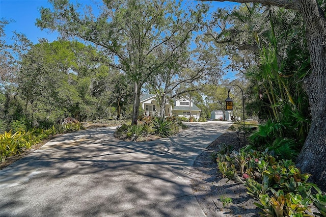 view of road with driveway