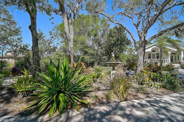 view of yard featuring covered porch