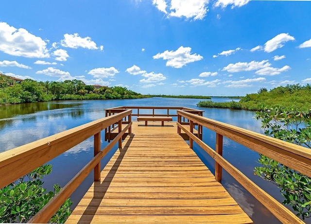 dock area featuring a water view