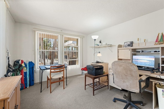 office space with carpet floors and a textured ceiling