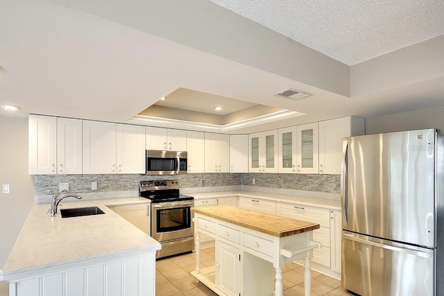 kitchen featuring light tile patterned floors, a sink, appliances with stainless steel finishes, a tray ceiling, and tasteful backsplash