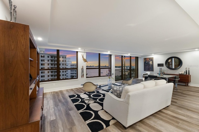 living room featuring wood finished floors and baseboards