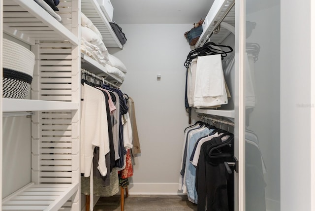 walk in closet with wood finished floors