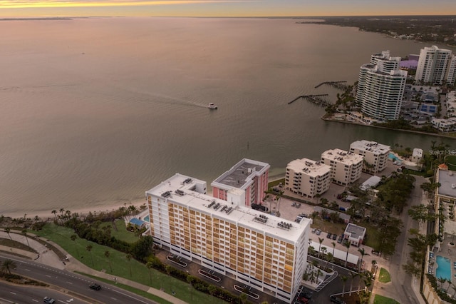 drone / aerial view with a water view and a city view