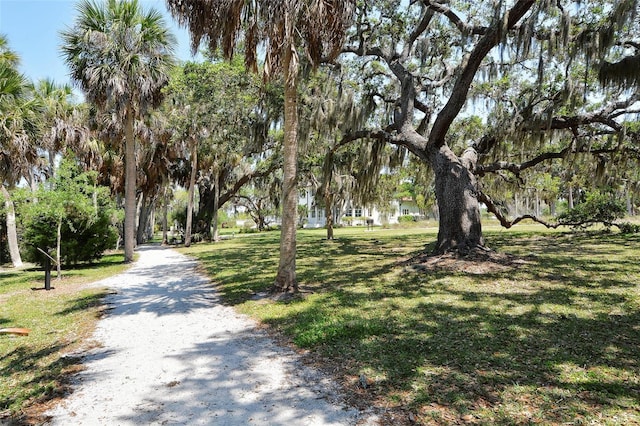 view of property's community featuring a yard and driveway