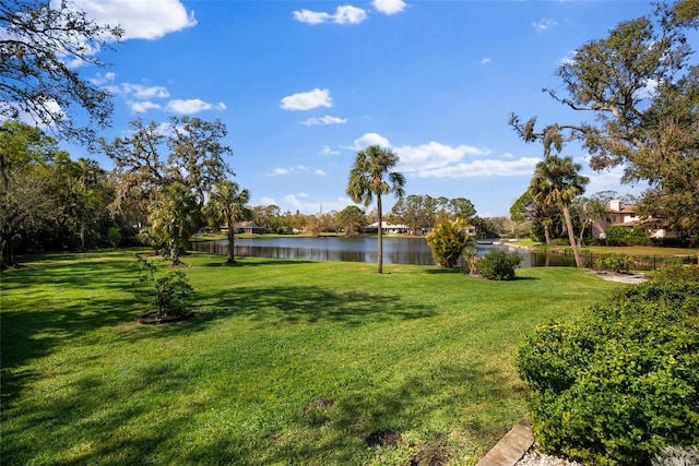 view of yard featuring a water view