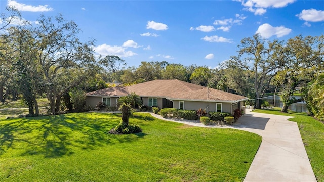 ranch-style house with stucco siding, driveway, and a front lawn