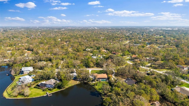 birds eye view of property with a view of trees and a water view