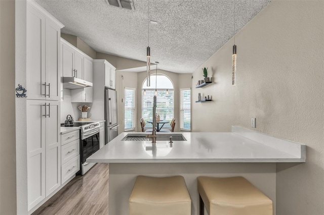 kitchen with light wood-style floors, a peninsula, stainless steel appliances, under cabinet range hood, and a sink