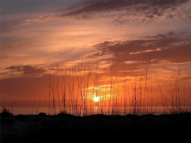 view of nature at dusk