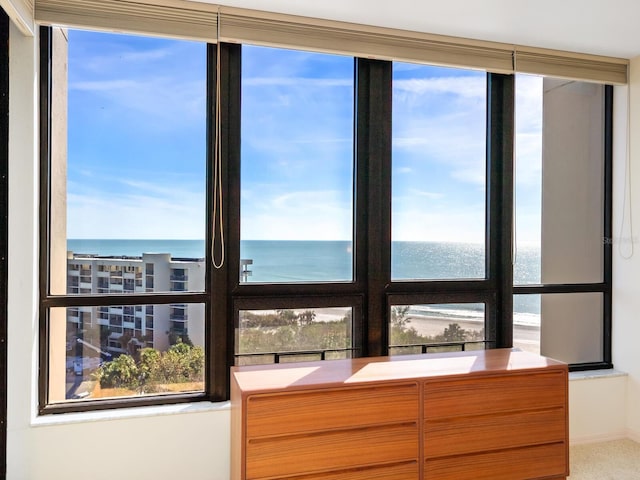 bathroom featuring plenty of natural light and a water view