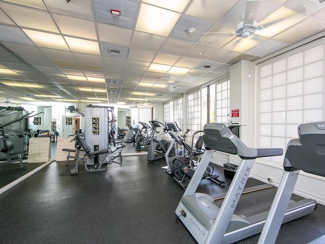 exercise room featuring a ceiling fan, a drop ceiling, and visible vents