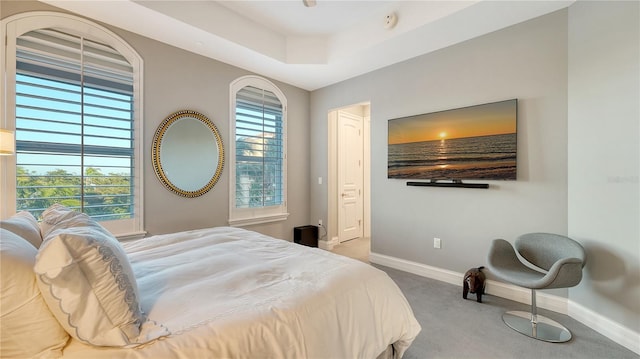 bedroom featuring a tray ceiling, carpet flooring, and baseboards