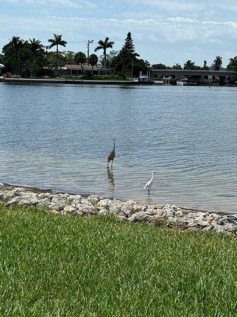 water view