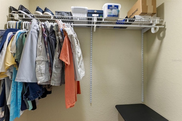 view of walk in closet