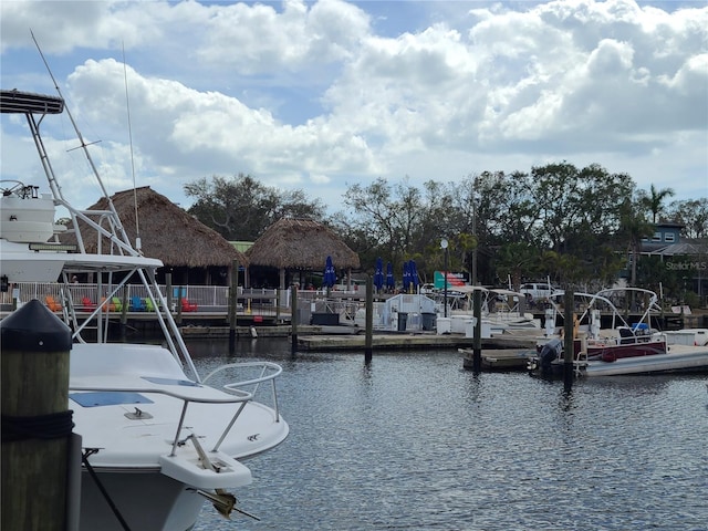 dock area featuring a water view