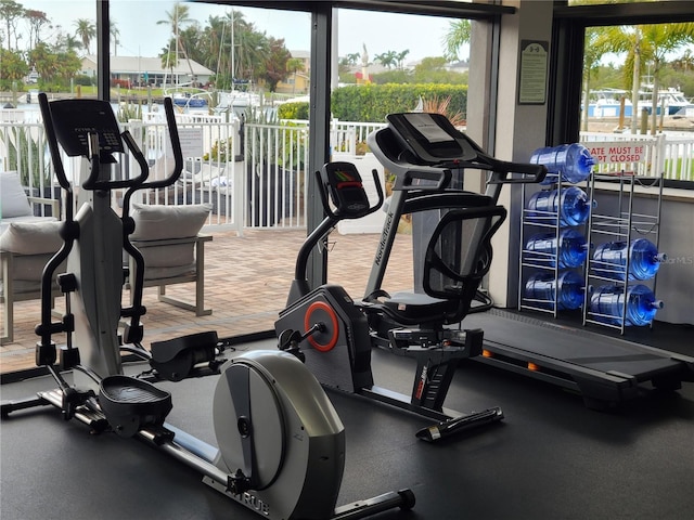 exercise room featuring plenty of natural light