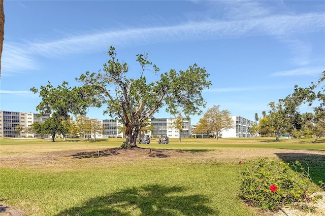 view of home's community featuring a yard