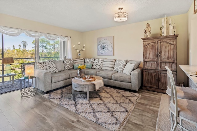 living room featuring light wood finished floors and a textured ceiling