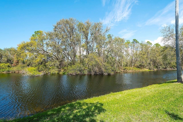 property view of water with a wooded view